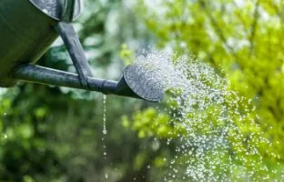 Regenwater hergebruiken